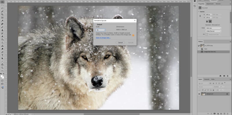 A Photoshop window shows a wolf standing in falling snow, with a pop-up dialog box about resizing the image partially obscuring the wolf’s face. Photoshop editing tools and panels are visible around the image.