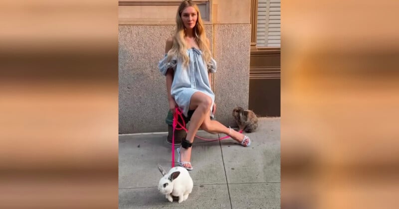 A woman in a light blue dress sits on a bench against a building, holding pink leashes attached to two rabbits—one white and one brown—on the sidewalk in front of her.