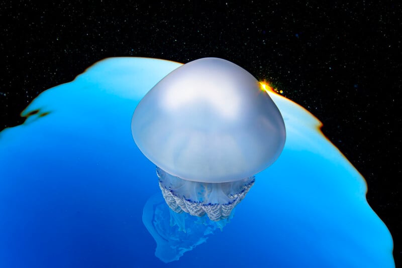 A jellyfish floats in vibrant blue water with a black, star-speckled background, and a bright yellow-orange light near the edge, creating a surreal, almost cosmic scene.