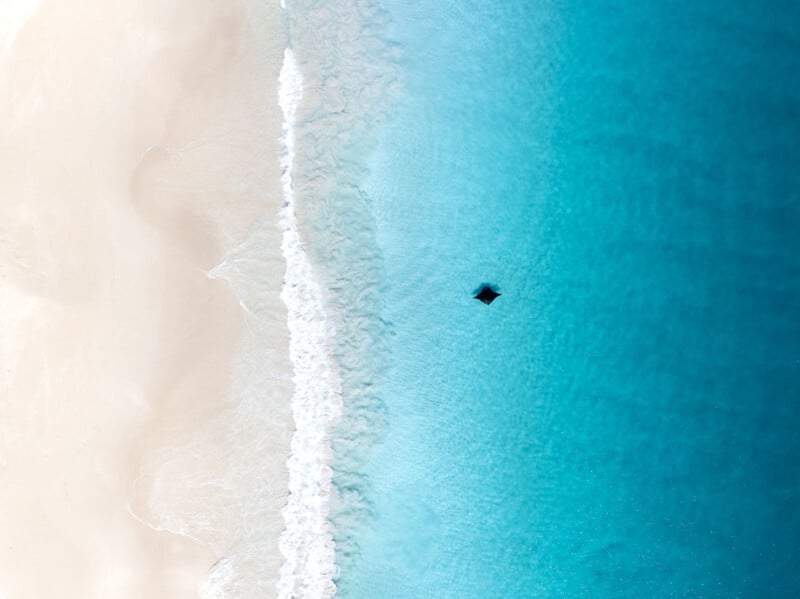 Aerial view of a sandy beach with turquoise waves gently meeting the shore; a lone stingray swims in the clear blue water near the center right of the image.