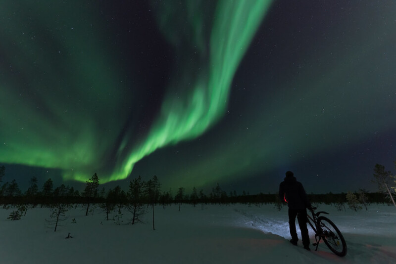 A person with a bicycle stands on snowy ground at night, looking up at vibrant green northern lights that swirl across the starry sky above a landscape of scattered trees.