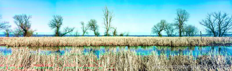 Panoramic view of a marshland with tall dry grasses, leafless trees, and a calm waterway reflecting the blue sky on a clear day.