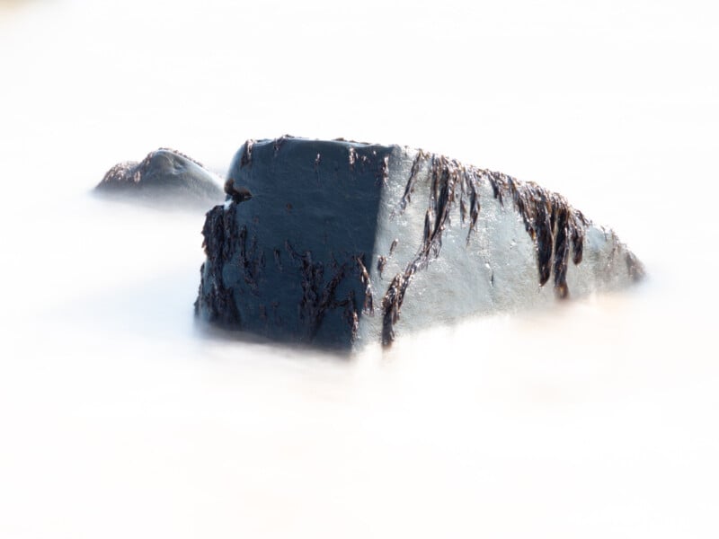 A dark rock partially covered in seaweed emerges from smooth, misty water, creating a soft, dreamlike coastal scene with gentle lighting.