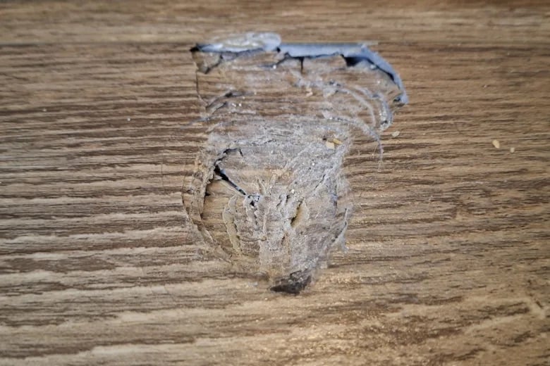 A close-up of a wooden surface with a large, rough, and worn-down scratch exposing lighter wood and chipped remnants of a dark finish.
