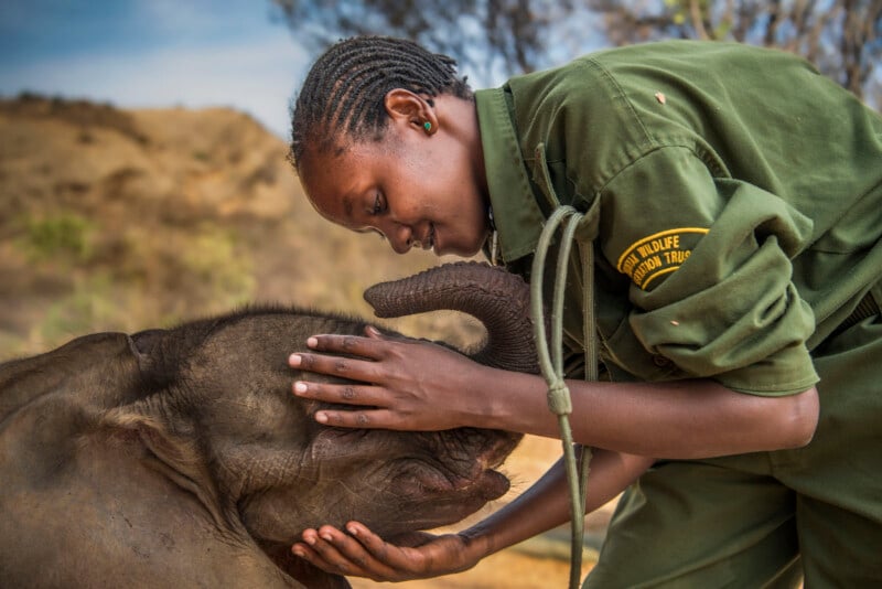 A caretaker in a green uniform gently cradles and comforts a baby elephant, showing affection outdoors with dry, blurred landscape in the background.
