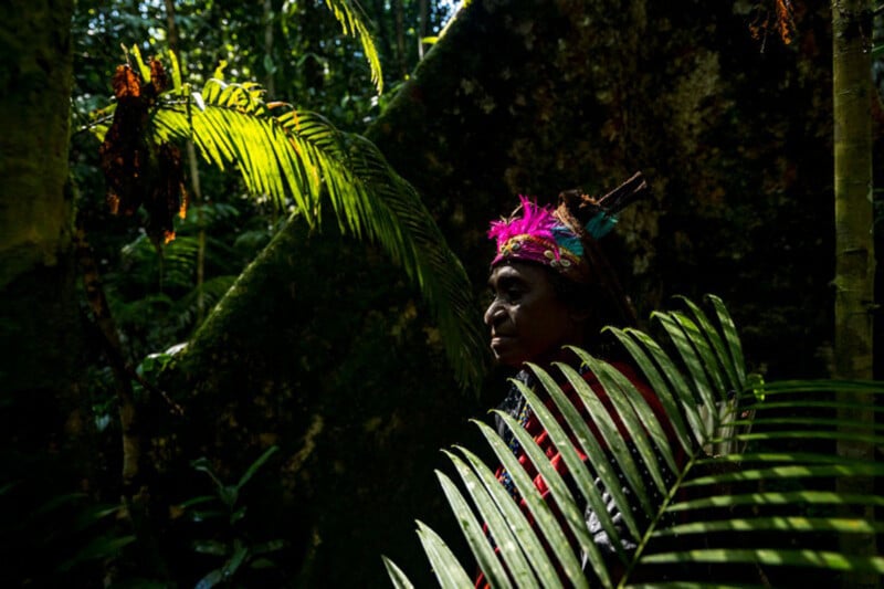 A person wearing a colorful headdress and traditional clothing stands partially obscured by lush green ferns in a dense, sun-dappled forest.