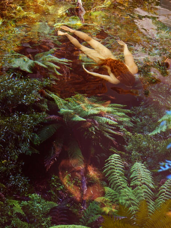 A person with long hair swims underwater in a natural setting, surrounded by lush green ferns and foliage above and below the water's surface, blending seamlessly with the surrounding nature.