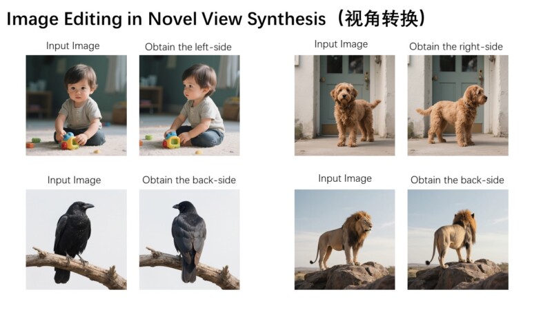 A collage shows input images of a baby, a dog, a crow, and a lion, each paired with an edited image displaying a different angle: left, right, or back views. Title: “Image Editing in Novel View Synthesis.”.