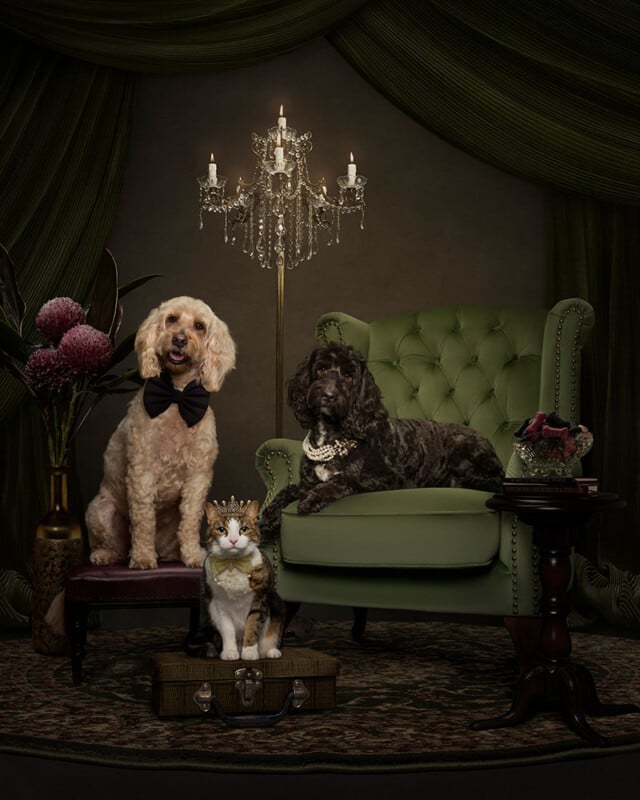A formal portrait of two dogs and a cat: one light-colored dog with a black bow tie sits on a stool, a dark dog with a pearl necklace lounges on a green armchair, and a cat wearing a crown sits on a suitcase in front of them.
