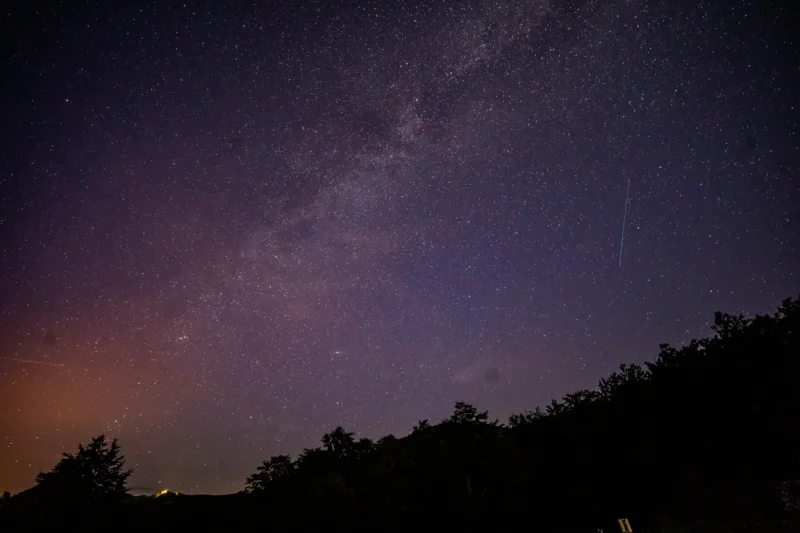 El claro cielo nocturno está lleno de estrellas y una tenue zona de la Vía Láctea, a lo largo de la silueta de los árboles en el fondo de la imagen, visible a la derecha.