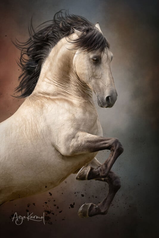 A light-colored horse with a dark mane rears up on its hind legs against a dramatic, smoky background, with its mane and tail flowing and dirt flying from its hooves.