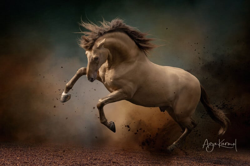 A light brown horse with a flowing mane leaps energetically off the ground, kicking up dirt and debris against a blurred, earthy-toned background. The image is dynamic and dramatic, conveying motion and power.