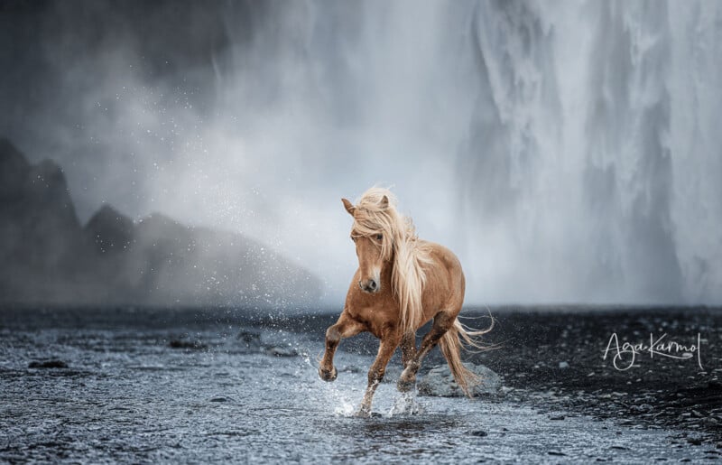 A light brown horse with a flowing mane runs energetically through shallow water in front of a misty waterfall and dark rocky backdrop. Splashes of water surround its hooves.