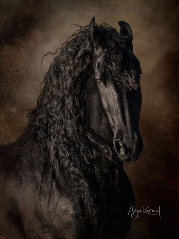 A majestic black horse with a long, wavy mane stands against a dark, textured background, giving an elegant and powerful presence. The horse’s mane flows naturally, and light highlights its shiny coat.