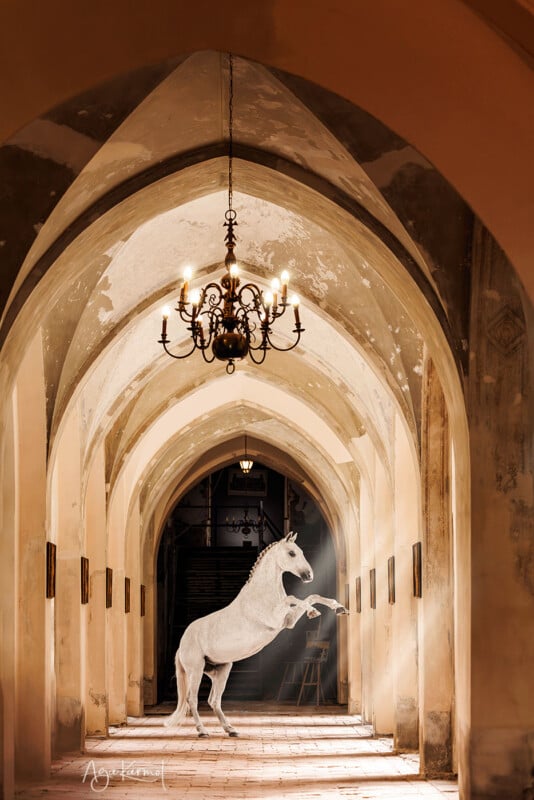 A white horse stands on its hind legs in a sunlit, arched hallway with high ceilings and a hanging chandelier, casting dramatic shadows on the tiled floor.