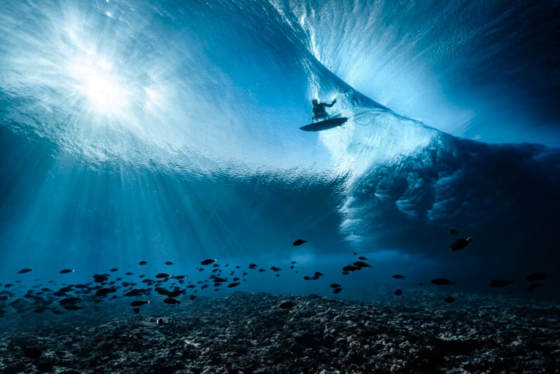 A surfer rides a translucent blue wave above a rocky ocean floor, with sunlight streaming through the water and a school of small fish swimming below.