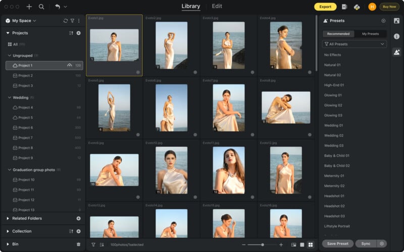 Digital photo editing software interface showing a gallery of portrait photos of a woman in a beige dress by the sea, with editing tools and project folders on the left and preset options on the right.