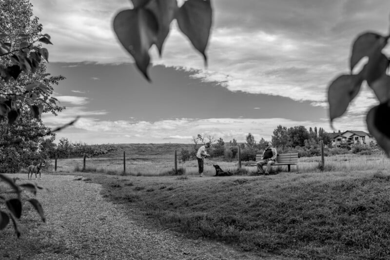 Black and white photo of a park scene with two people and a dog; one person sits on a bench, another stands nearby, and leafy branches frame the top of the image. A gravel path curves through grassy fields.