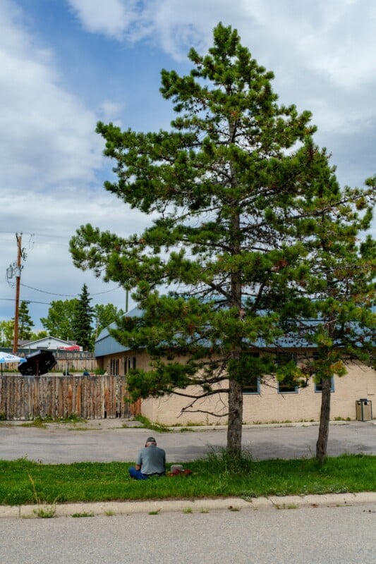 A person sits on the grass under a tall pine tree near a sidewalk, with a building, wooden fence, and parked vehicles in the background on a cloudy day.