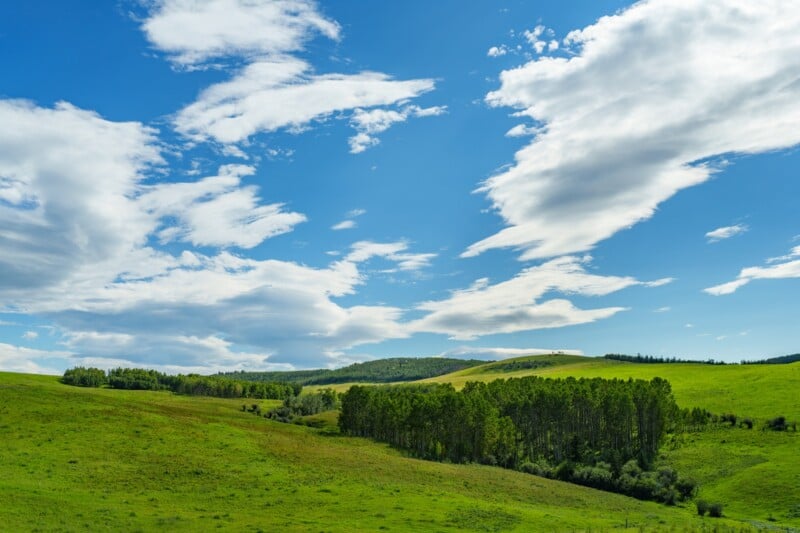Green rolling hills with clusters of trees under a bright blue sky filled with scattered white clouds on a sunny day.