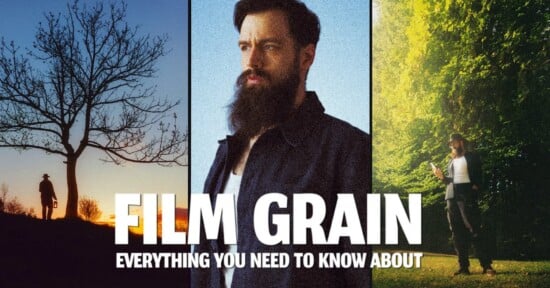A split image shows a silhouetted person by a tree at sunset, a bearded man in a dark jacket, and a man standing in a sunlit, leafy area. Bold text reads: “FILM GRAIN EVERYTHING YOU NEED TO KNOW ABOUT.”.