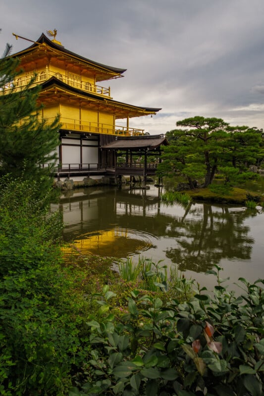 A golden temple with ornate details stands beside a tranquil pond, surrounded by lush greenery and trees, reflecting beautifully in the calm water under a cloudy sky.