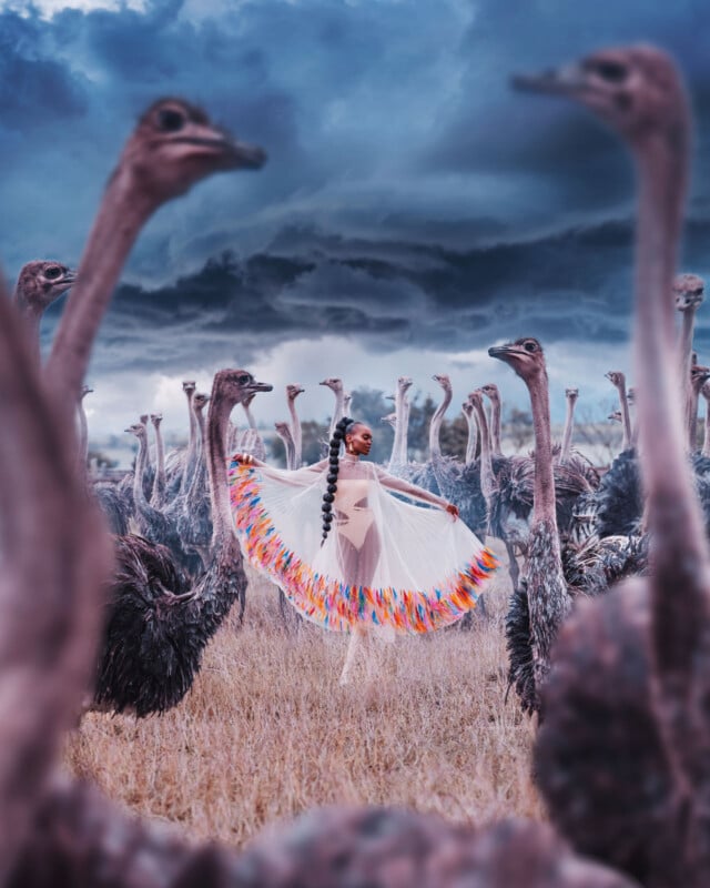 A woman in a sheer dress with colorful trim poses gracefully among a large flock of ostriches in a field, with dramatic dark clouds overhead.