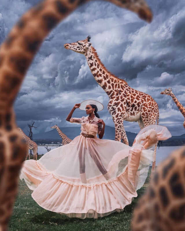 A woman in a flowing, pale pink dress stands gracefully among several giraffes on grass, with dramatic dark clouds in the sky behind her. The image is vibrant and surreal, with giraffes framing the scene.
