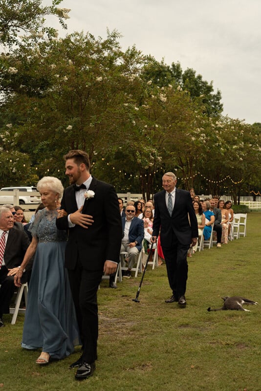 An elderly woman in a blue dress and a young man in a tuxedo walk down an outdoor aisle lined with seated guests. Trees, string lights, and a peacock standing on the grass are visible in the background.