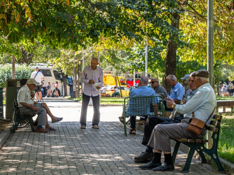 Several elderly people sit and chat on benches under shady trees along a park pathway, while others stand nearby. Sunlight filters through the leaves, creating a relaxed, social atmosphere.