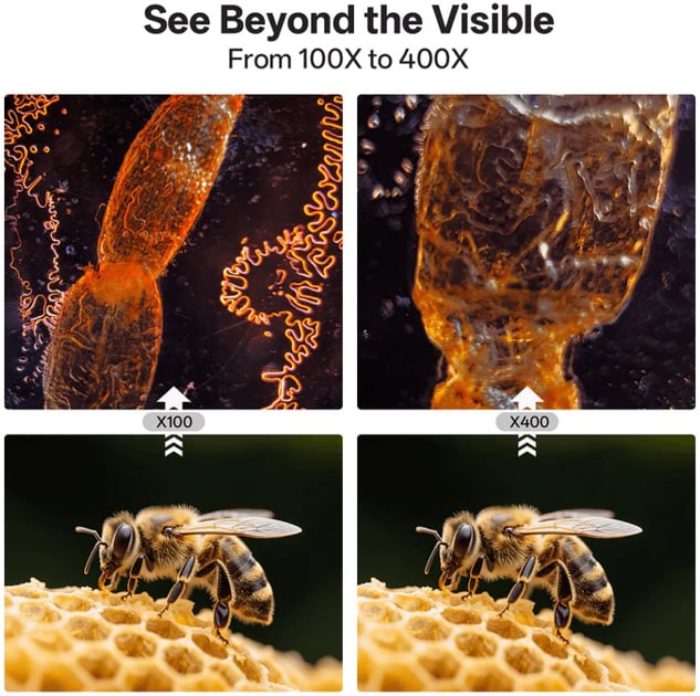A comparison of microscopic and close-up views: Top left shows an object at 100x magnification, top right at 400x; bottom shows a bee on honeycomb at 100x (left) and 400x (right) magnification.