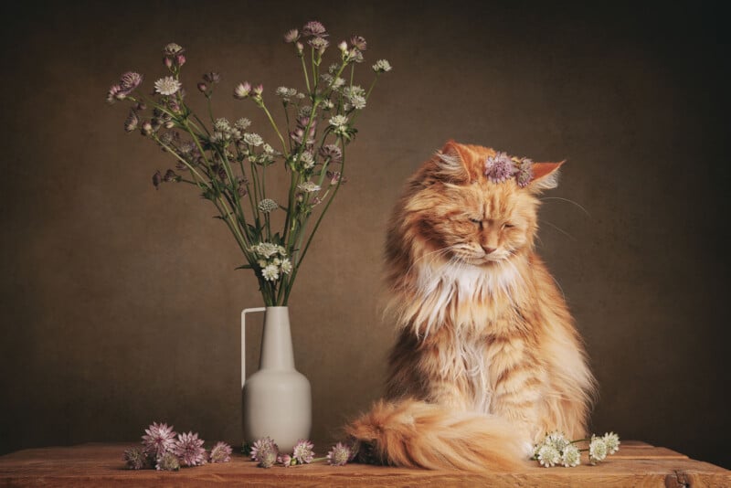 A fluffy orange cat with a flower on its head sits next to a white vase filled with purple and white flowers on a wooden surface, with more flowers scattered around. The background is softly lit and brown.