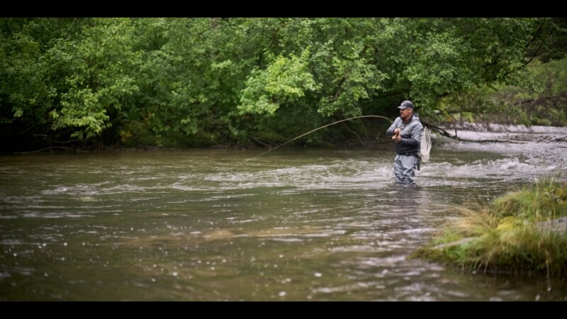 A person wearing waders and a cap is fly fishing in a shallow river, surrounded by lush green trees and vegetation along the banks.