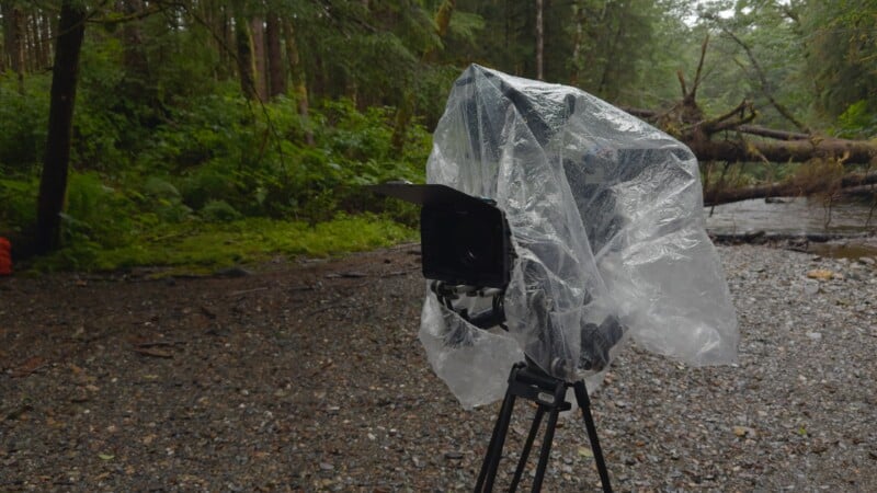 A camera on a tripod is covered with a clear plastic rain cover, set up on a gravel path in a lush, green forest on a rainy day.