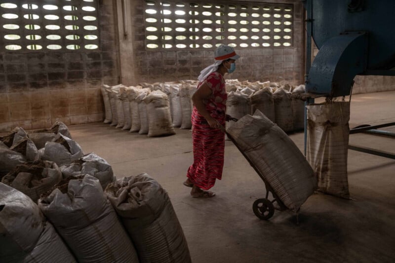 A woman in a red patterned dress and face mask uses a hand truck to move a large white sack in a warehouse filled with similar bags stacked along the walls. Light streams through the ventilated brick wall.