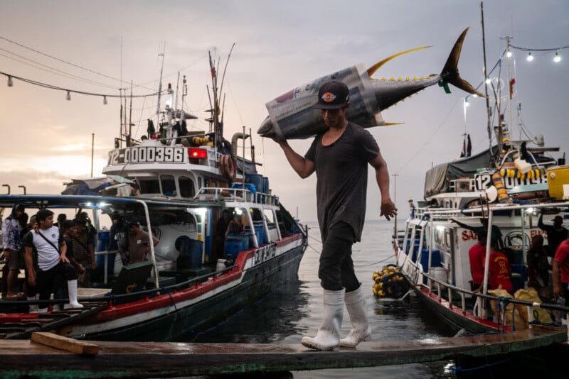 A fisherman wearing white boots carries a large tuna on his shoulder, walking between boats at a busy dock during sunset. Other people and fishing boats are visible in the background.