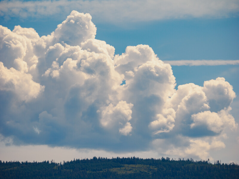 Las grandes y esponjosas nubes blancas se elevan bruscamente hacia el cielo azul sobre la cima de la colina del bosque, creando un paisaje vibrante y pacífico.