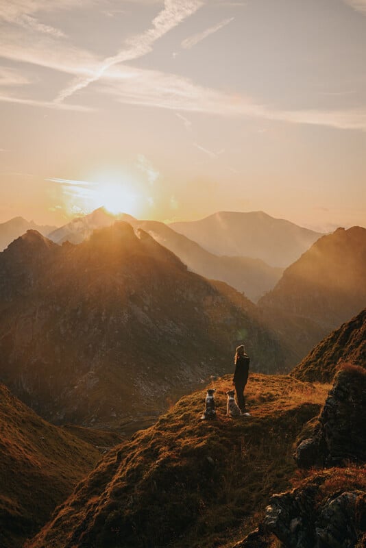 A person stands on a grassy mountain ridge at sunrise with two dogs, overlooking a range of rugged peaks bathed in golden light and mist.