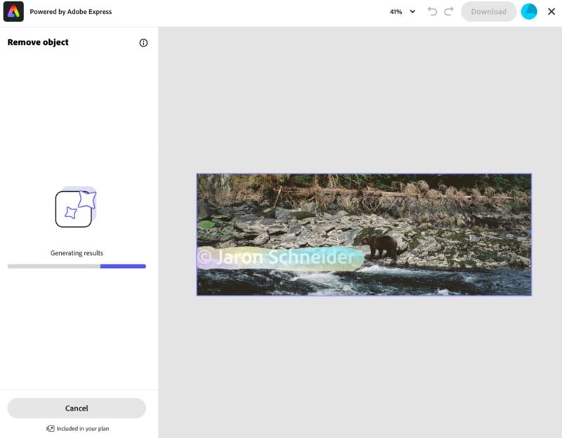 Screenshot of Adobe Express "Remove object" tool in use, showing a progress bar and a photo of a bear by a rocky riverbank. The watermark "© Jaron Schneider" is over the image.