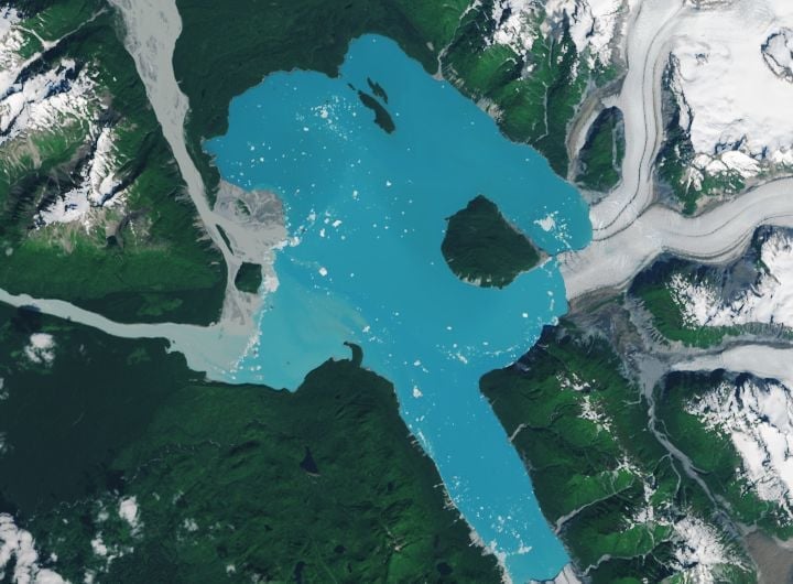 Un gran lago glaciar turquesa rodeado de densos bosques verdes, ríos y montañas nevadas, con varios icebergs flotando en el agua.