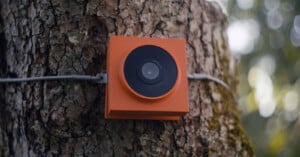An orange, square-shaped camera is mounted on a tree trunk outdoors, with a cable running horizontally behind it. The background is blurred, showing greenery and sunlight.