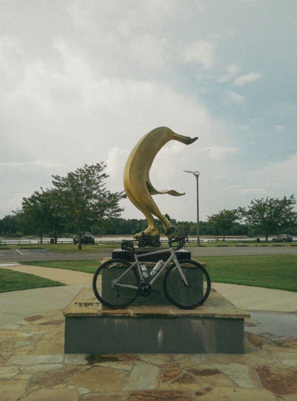 A silver bicycle is parked in front of a sculpture of a jumping dolphin on a stone pedestal in a park, with trees, grass, and a partly cloudy sky in the background.