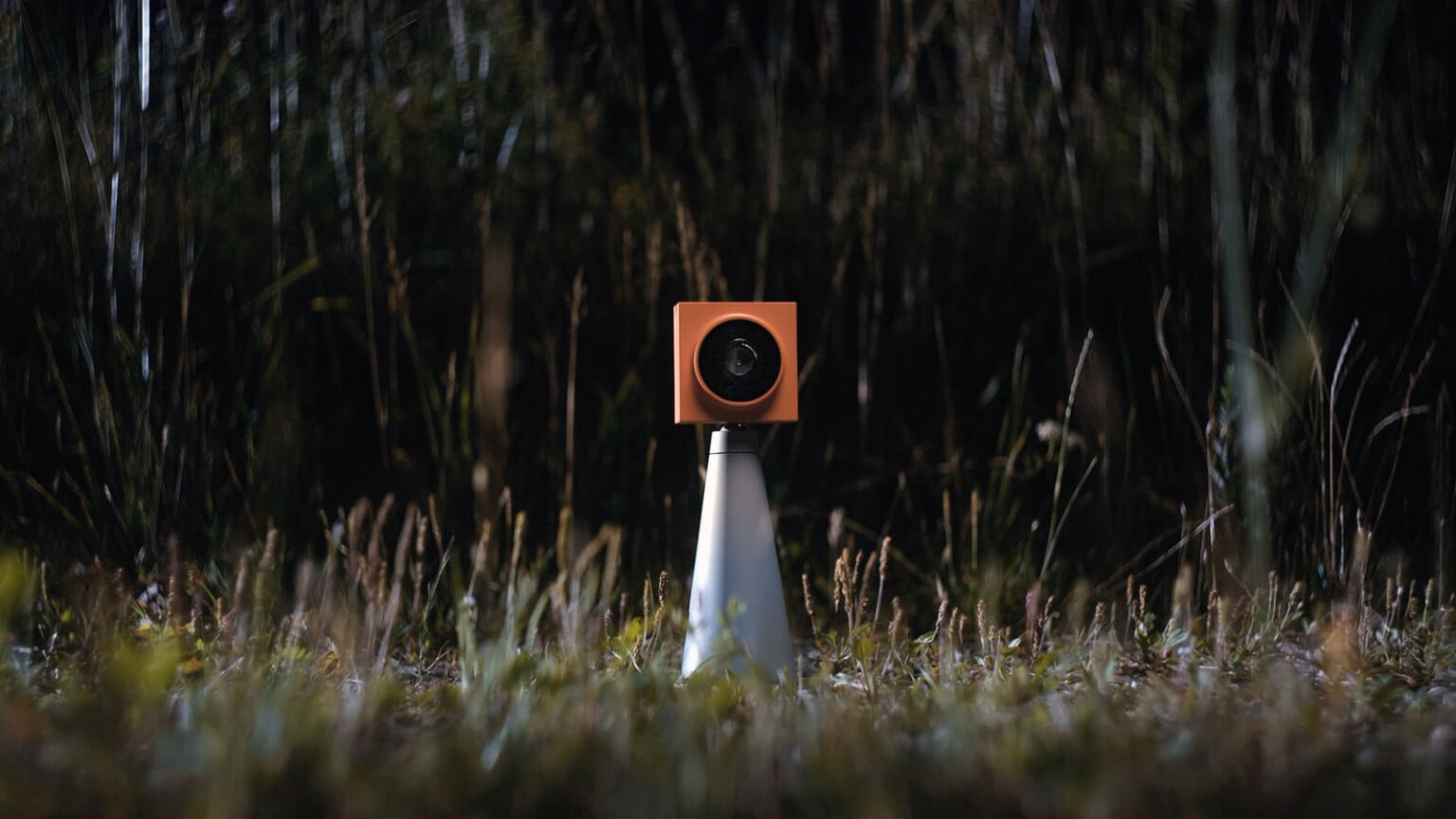 Behold Cam-1 Is a Stylish AI-Powered Wildlife Camera Designed for ...