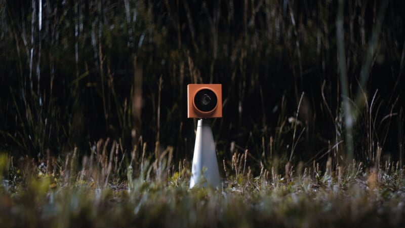 A small camera with an orange, cube-shaped body stands on a white tripod in a grassy outdoor area at night, surrounded by tall, dark grass.