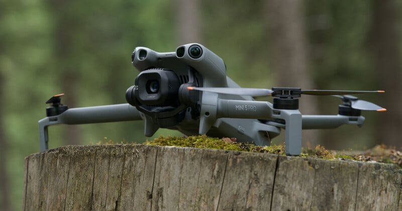 A gray camera drone with four propellers rests on a moss-covered tree stump in a forest, with blurred green foliage in the background.