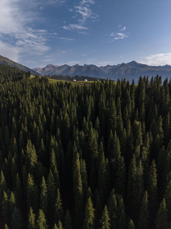 A dense pine forest stretches toward distant mountains under a blue sky with scattered clouds; a small white building sits on a ridge above the trees.