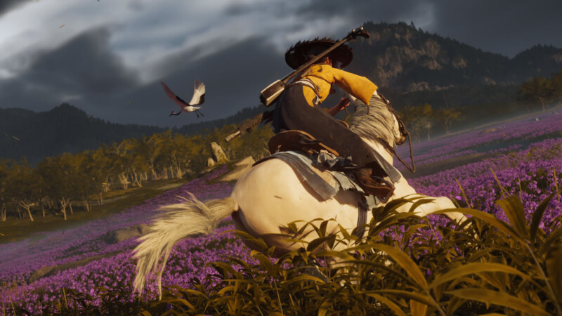 A person in a yellow shirt and black hat rides a white horse through a field of purple flowers, with mountains and trees in the background and a bird flying nearby under a cloudy sky.