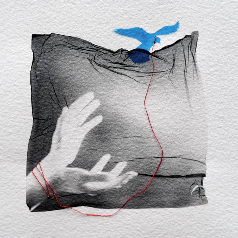 A grayscale drawing of a raised hand reaching toward a blue bird. A red thread connects the hand to the bird, symbolizing a link or connection between them. The background is textured white paper.