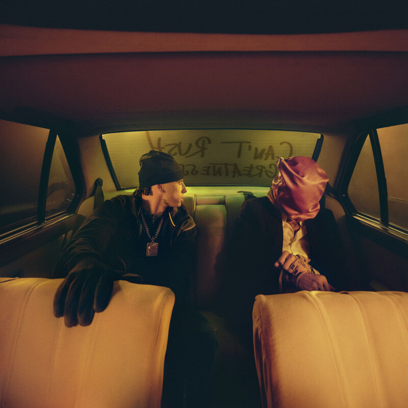 Dos personas estaban sentadas en el asiento trasero del auto por la noche. Uno llevaba ropa oscura y un gorro, mirando al otro, con un traje y cubriéndose la cara con una máscara rosa. "No te apresures a ser genial" Escrito en la ventana trasera niebla.