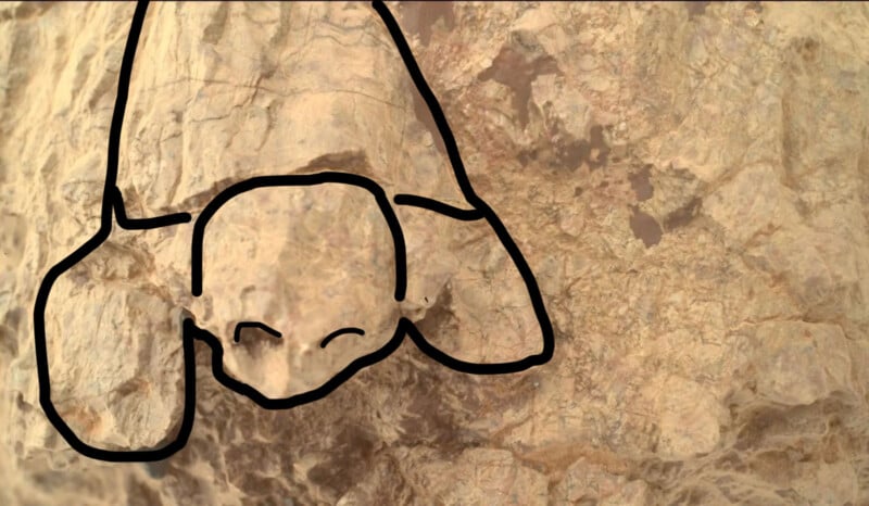 A rock surface with black lines drawn over it, forming the outline of a turtle with its head and two front flippers visible, blending into the natural texture of the rock.